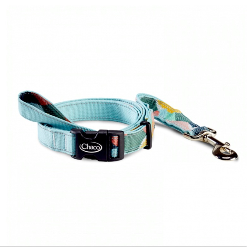 CHACO 🐕 matching dog Collar & Leash